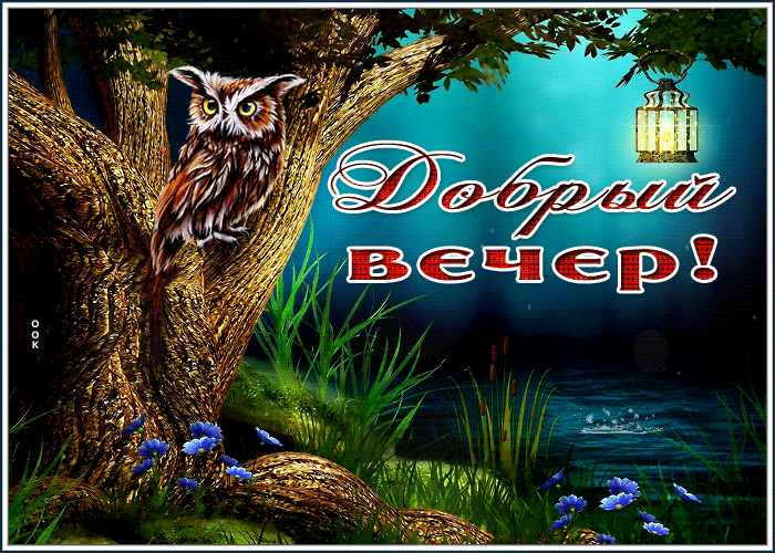 Picture волшебная открытка с совой добрый вечер