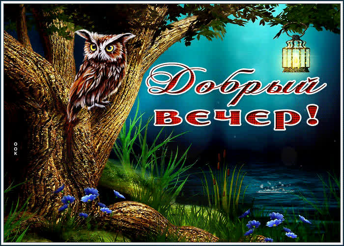 Picture волшебная открытка с совой добрый вечер