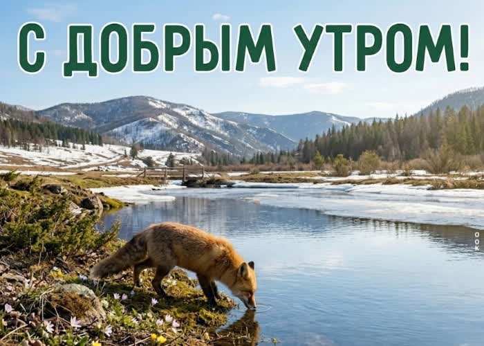 Postcard волшебного мартовского утра