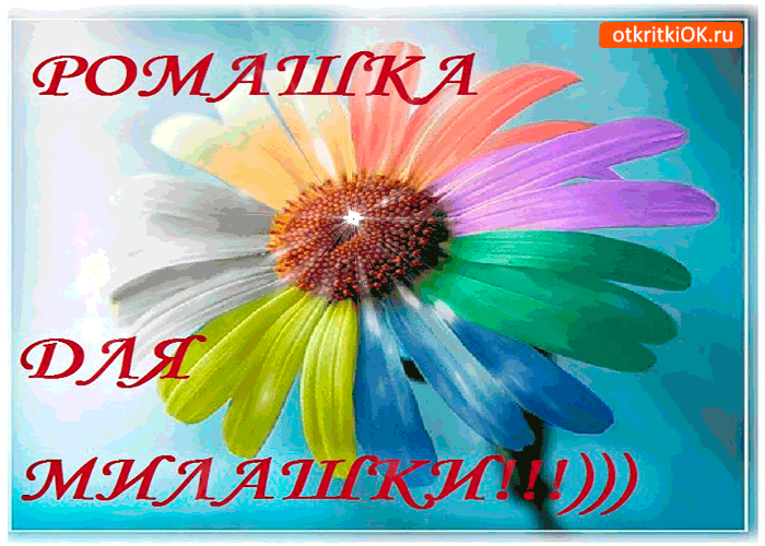 Открытка волшебная ромашка для милашки