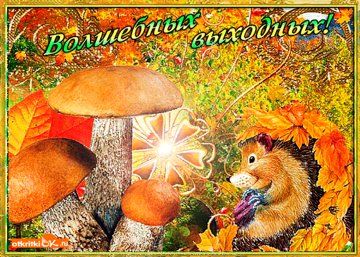 Картинка волшебных выходных