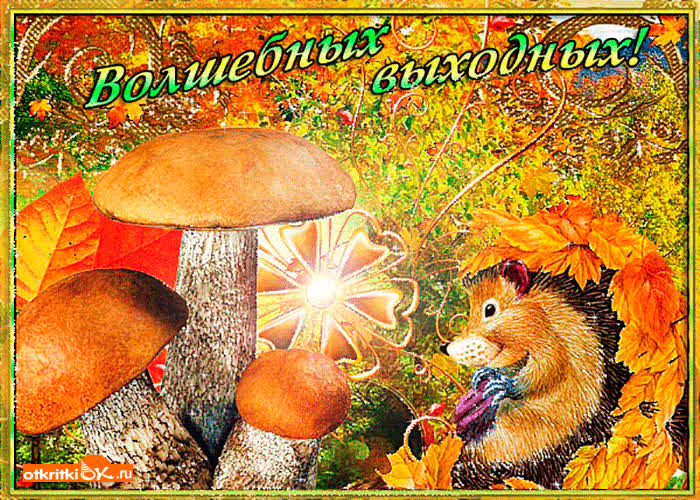 Картинка волшебных выходных