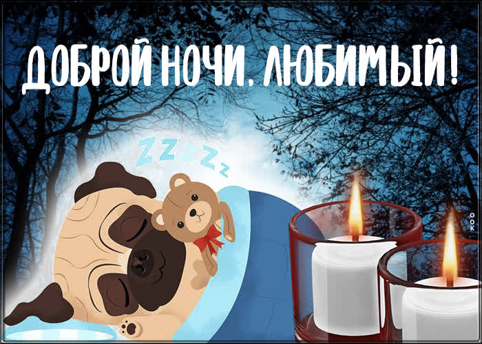 Postcard восхитительная картинка доброй ночи, любимый! с собачкой