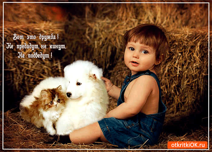 Картинка вот это настоящая дружба