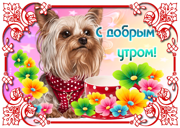 Открытка вот и утро, вот и новый день, с добрым утром