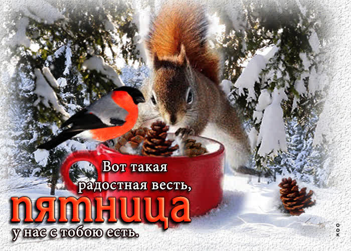 Picture вот такая радостная весть, пятница у нас с тобою есть