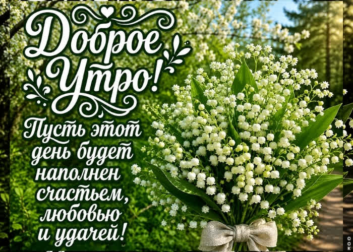 Picture время проснуться и начать новые приключения!