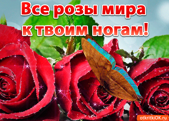 Открытка все розы мира к твоим ногам