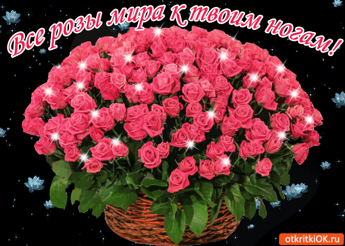 Картинка все розы мира к твоим ногам!