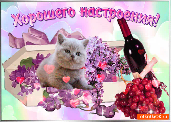 Картинка всё тебе для настроения