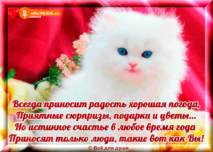 Открытка всегда приносим радость