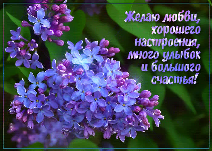 Картинка всего тебе самого хорошего