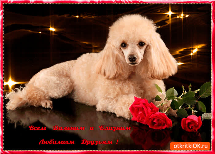 Картинка всем близким и любимым друзьям
