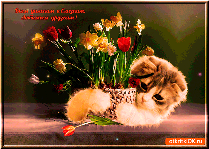 Открытка всем далёким и близким друзьям