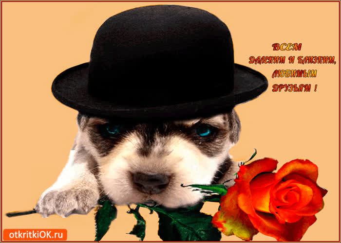 Картинка всем моим любимым друзьям