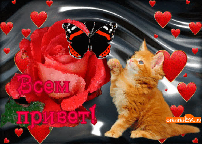 Картинка всем привет картинка