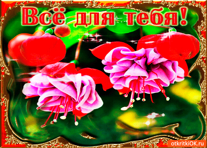 Открытка всё это для тебя
