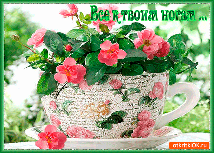 Открытка всё к твоим ногам преподнесу