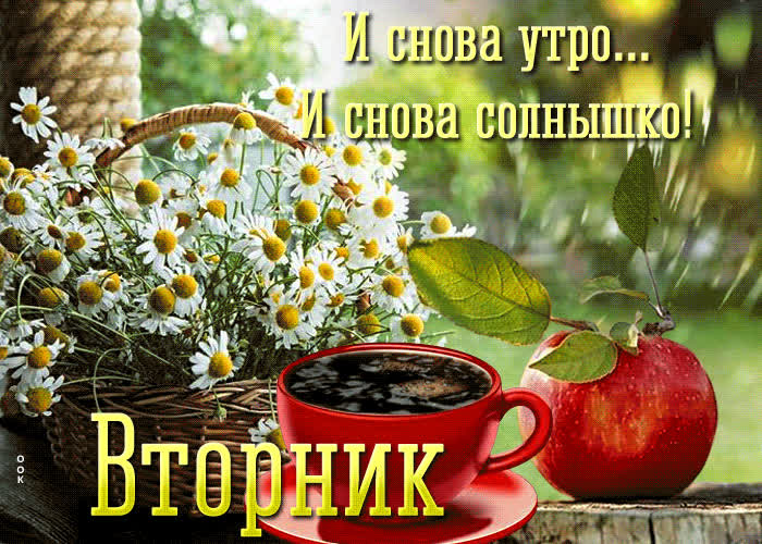 Postcard вторник! и снова утро! и снова солнышко