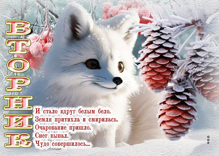 Postcard вторник! и стало вдруг белым бело. земля притихла и смирилась