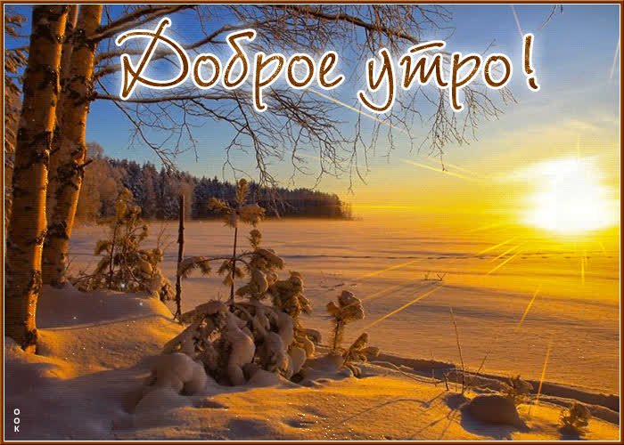 Postcard холодная и яркая гиф-открытка доброе утро