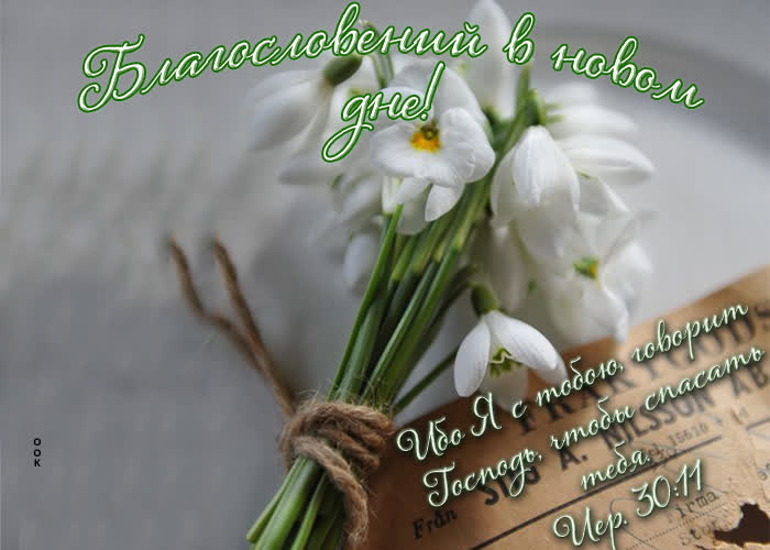 Postcard хорошая картинка благословений в новом дне!