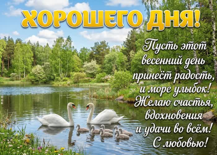 Postcard хорошего дня и отличного настроения