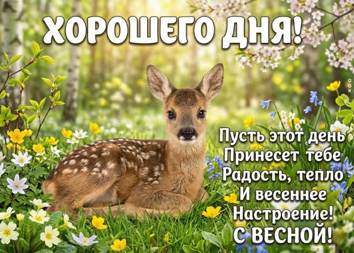 Postcard хорошего дня и приятных сюрпризов