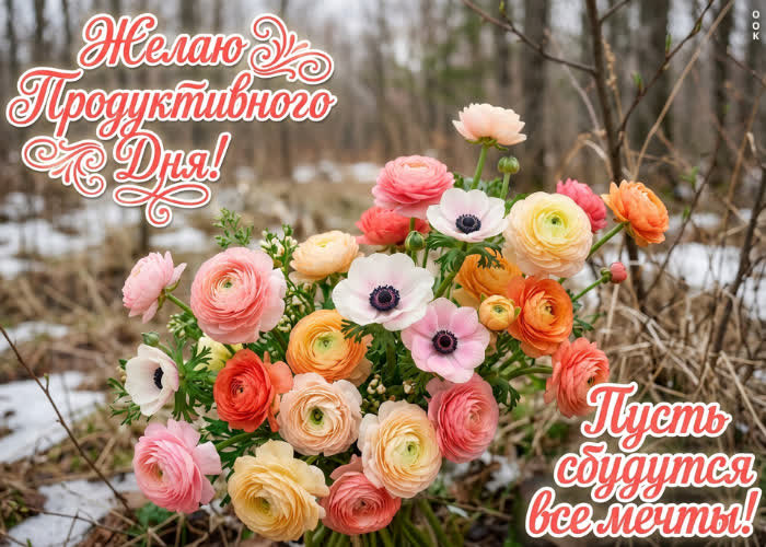 Postcard хорошего дня, пусть сбудется все!!