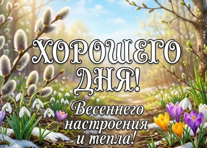 Postcard хорошего дня! пусть весна наполнит сердце спокойствием и светлыми мыслями.