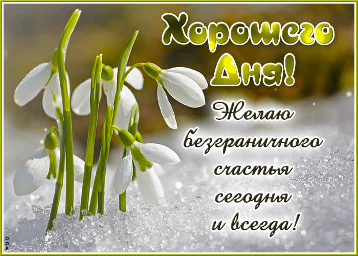 Postcard хорошего дня! желаю безграничного счастья сегодня и всегда