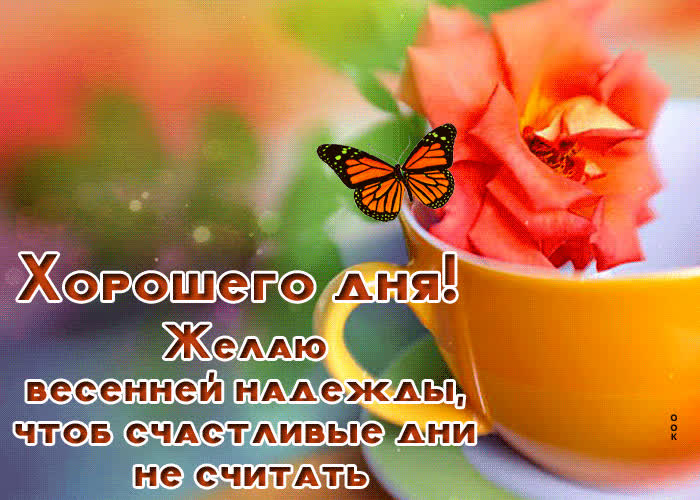 Postcard хорошего дня! желаю весенней надежды, чтоб счастливые дни не считать