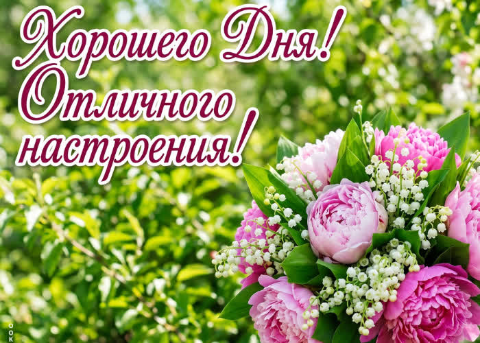 Picture хорошего настроения в этот цветущий день!
