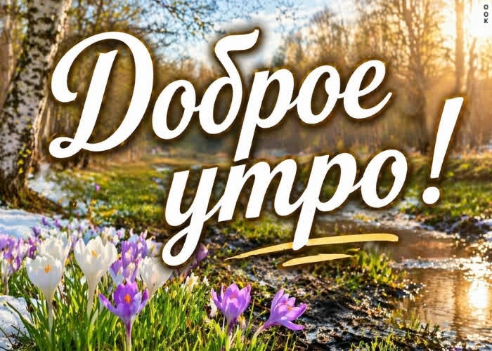 Postcard хорошего весеннего утра! пусть сегодняшний день подарит много светлых моментов.