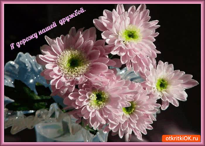 Картинка я дорожу нашей дружбой