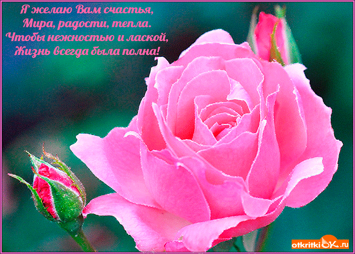Открытка я желаю вам счастья
