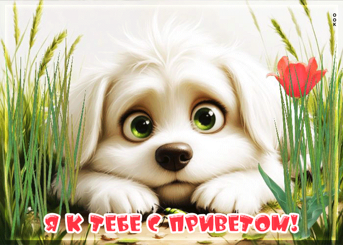 Picture я к тебе с приветом!