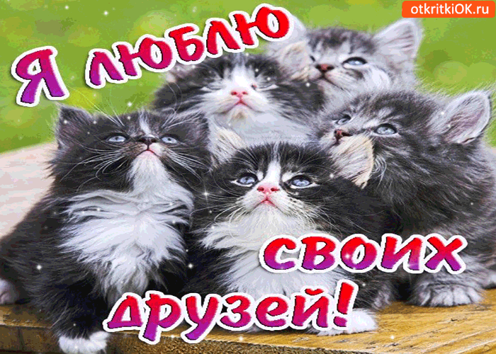 Открытка я люблю своих друзей