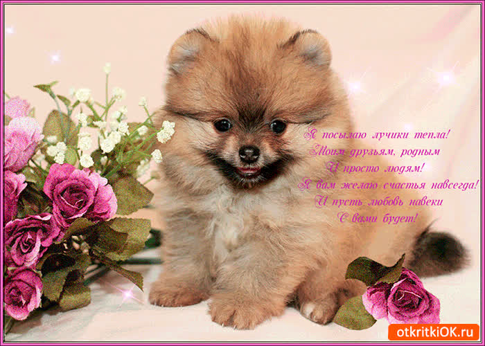 Картинка я посылаю лучики тепла моим друзьям