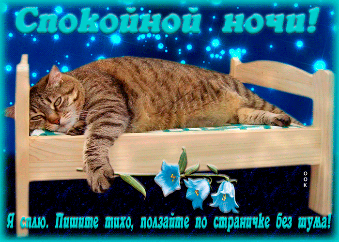 Картинка я сплю, пишите тихо