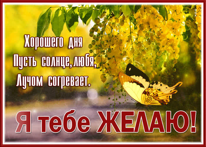 Picture я тебе желаю хорошего дня, пусть солнце любя лучом согревает