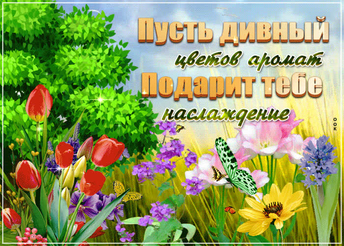 Картинка картинка я тебя обожаю