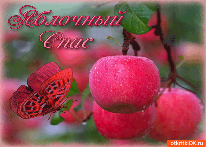 Картинка яблочный спас - вкусных яблок нам припас!