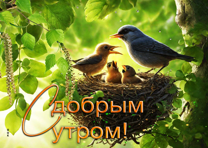 Postcard яркая гиф-открытка с птичками с добрым утром