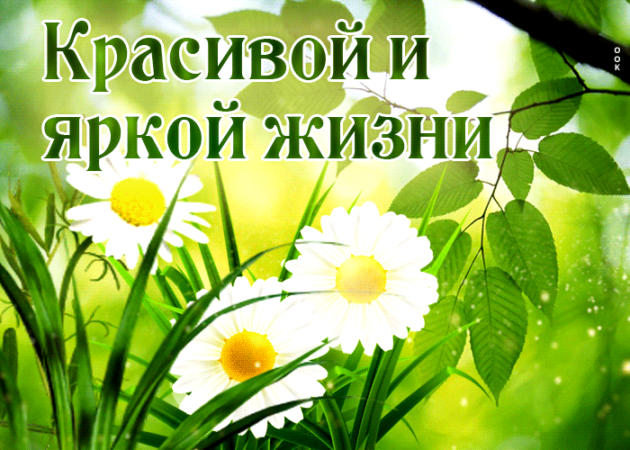 Picture яркая и энергичная открытка красивой и яркой жизни!
