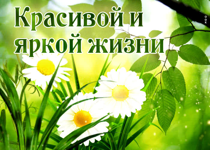 Picture яркая и энергичная открытка красивой и яркой жизни!
