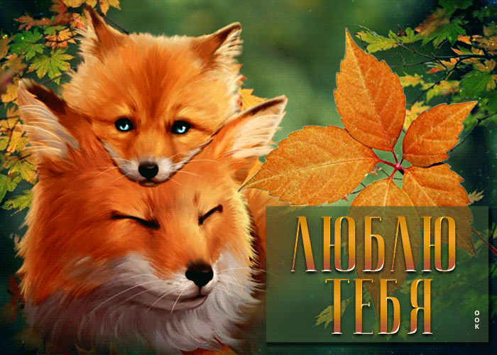 Picture яркая и красивая открытка с лисичками люблю тебя