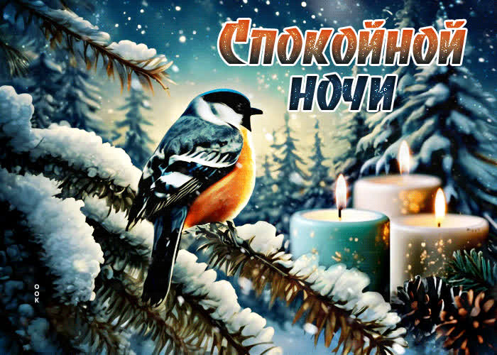 Picture яркая и творческая гиф-открытка с птичкой спокойной ночи