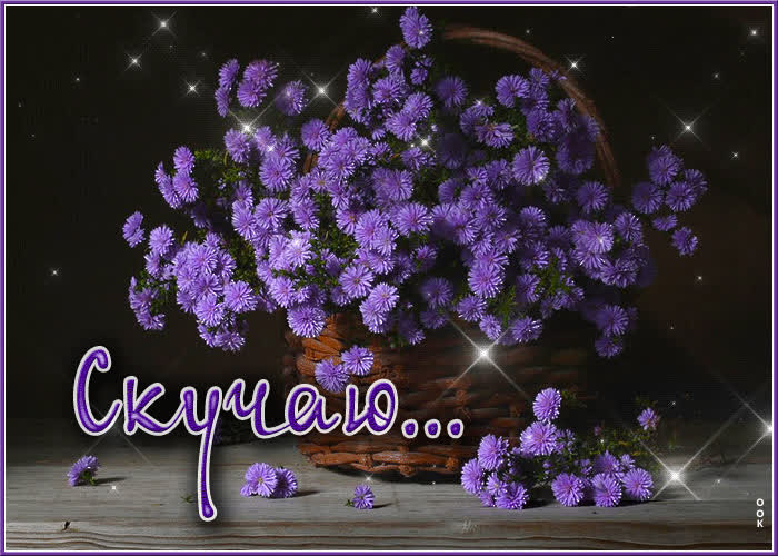 Picture яркая и вдохновляющая гиф-открытка с цветами скучаю