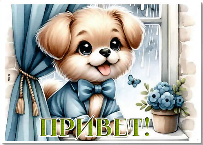 Picture яркая и веселая гиф-открытка с щенком привет